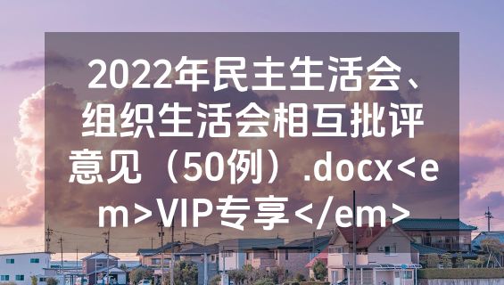 2022年民主生活会、组织生活会相互批评意见（50例）.docx<em>VIP专享</em>