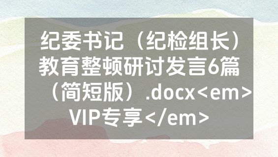 纪委书记（纪检组长）教育整顿研讨发言6篇（简短版）.docx<em>VIP专享</em>