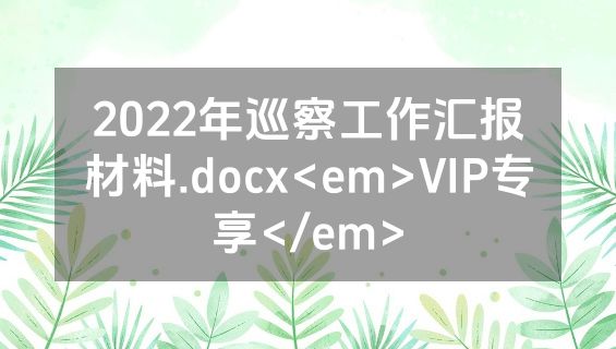 2022年巡察工作汇报材料.docx<em>VIP专享</em>