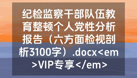 纪检监察干部队伍教育整顿个人党性分析报告（六方面检视剖析3100字）.docx<em>VIP专享</em>