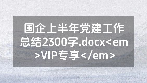 国企上半年党建工作总结2300字.docx<em>VIP专享</em>