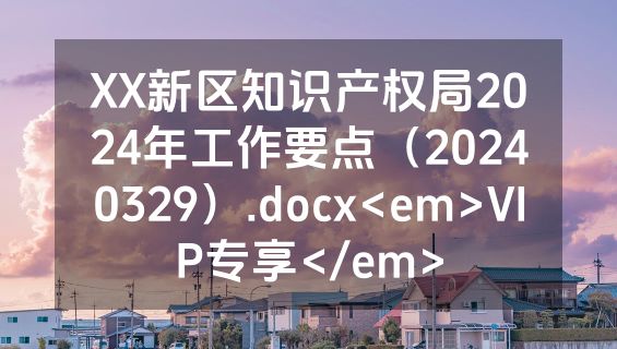 XX新区知识产权局2024年工作要点（20240329）.docx<em>VIP专享</em>