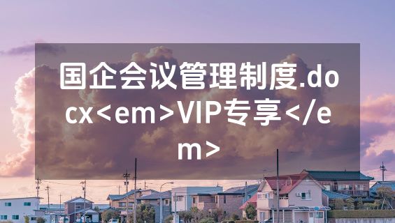 国企会议管理制度.docx<em>VIP专享</em>