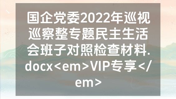 国企党委2022年巡视巡察整专题民主生活会班子对照检查材料.docx<em>VIP专享</em>