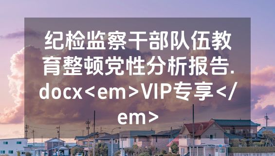 纪检监察干部队伍教育整顿党性分析报告.docx<em>VIP专享</em>