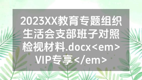 2023XX教育专题组织生活会支部班子对照检视材料.docx<em>VIP专享</em>