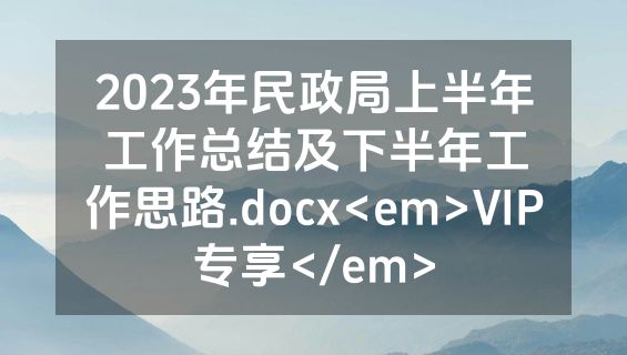 2023年民政局上半年工作总结及下半年工作思路.docx<em>VIP专享</em>