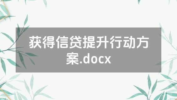 获得信贷提升行动方案.docx