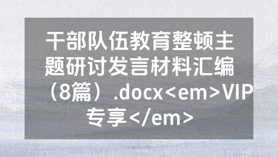 干部队伍教育整顿主题研讨发言材料汇编（8篇）.docx<em>VIP专享</em>