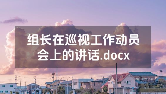 组长在巡视工作动员会上的讲话.docx