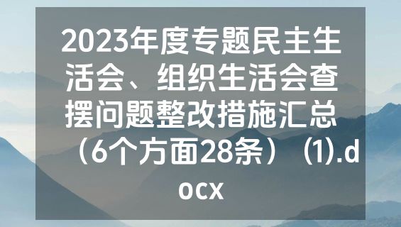 2023年度专题民主生活会、组织生活会查摆问题整改措施汇总（6个方面28条） (1).docx