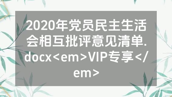2020年党员民主生活会相互批评意见清单.docx<em>VIP专享</em>