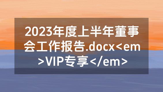 2023年度上半年董事会工作报告.docx<em>VIP专享</em>