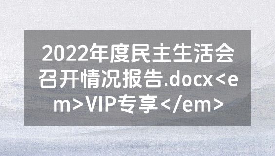 2022年度民主生活会召开情况报告.docx<em>VIP专享</em>