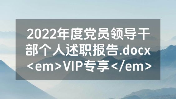 2022年度党员领导干部个人述职报告.docx<em>VIP专享</em>