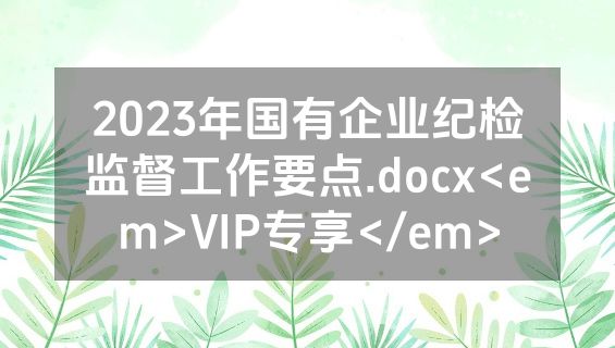 2023年国有企业纪检监督工作要点.docx<em>VIP专享</em>