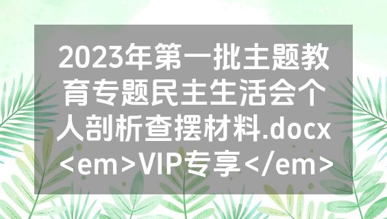 2023年第一批主题教育专题民主生活会个人剖析查摆材料.docx<em>VIP专享</em>