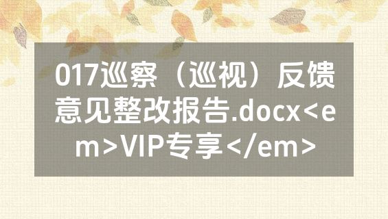 017巡察（巡视）反馈意见整改报告.docx<em>VIP专享</em>