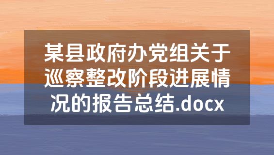 某县政府办党组关于巡察整改阶段进展情况的报告总结.docx