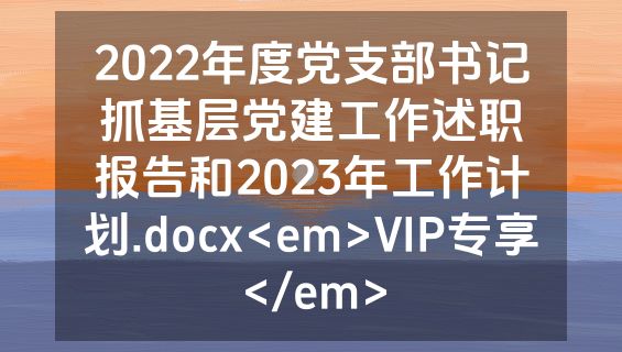 2022年度党支部书记抓基层党建工作述职报告和2023年工作计划.docx<em>VIP专享</em>
