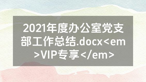 2021年度办公室党支部工作总结.docx<em>VIP专享</em>