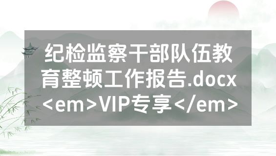 纪检监察干部队伍教育整顿工作报告.docx<em>VIP专享</em>