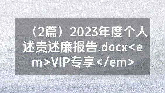 （2篇）2023年度个人述责述廉报告.docx<em>VIP专享</em>