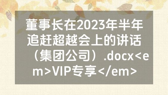 董事长在2023年半年追赶超越会上的讲话（集团公司）.docx<em>VIP专享</em>