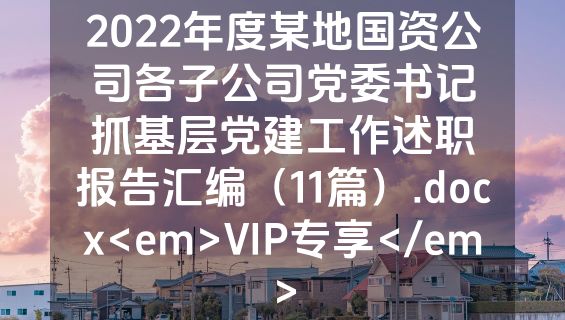 2022年度某地国资公司各子公司党委书记抓基层党建工作述职报告汇编（11篇）.docx<em>VIP专享</em>