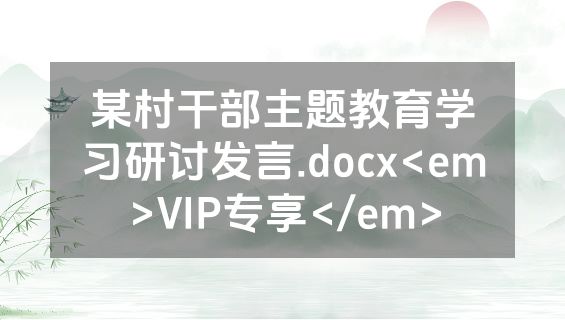 某村干部主题教育学习研讨发言.docx<em>VIP专享</em>