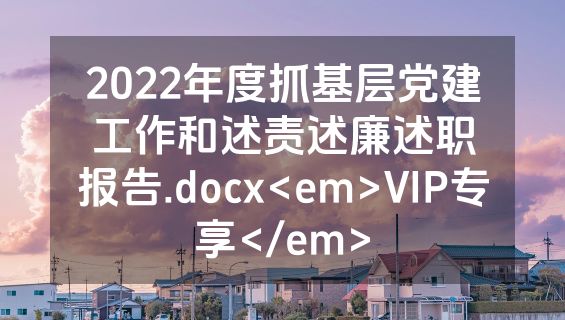 2022年度抓基层党建工作和述责述廉述职报告.docx<em>VIP专享</em>