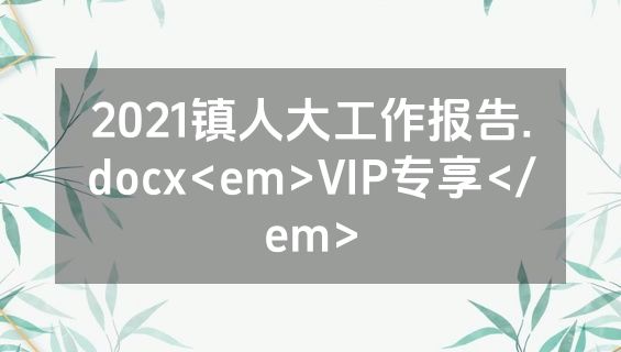 2021镇人大工作报告.docx<em>VIP专享</em>