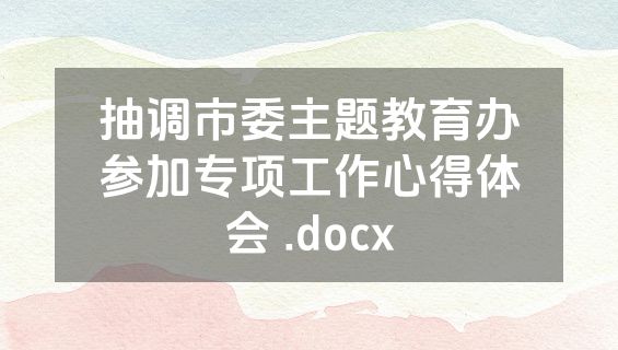 抽调市委主题教育办参加专项工作心得体会 .docx
