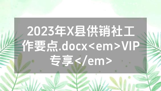 2023年X县供销社工作要点.docx<em>VIP专享</em>
