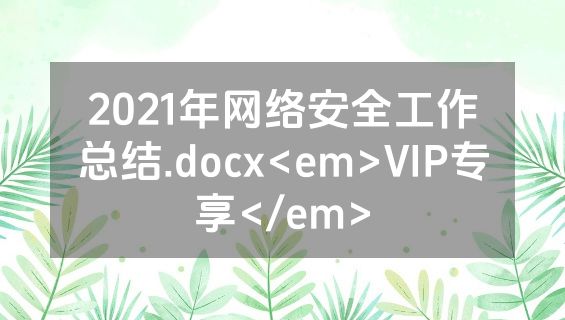 2021年网络安全工作总结.docx<em>VIP专享</em>