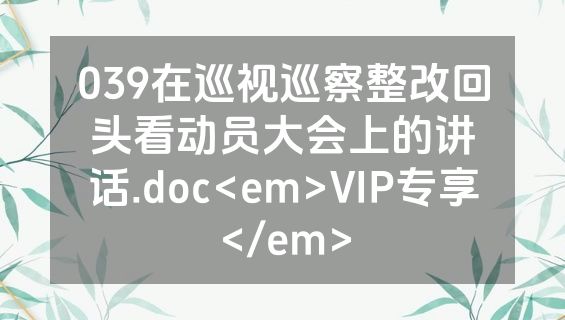 039在巡视巡察整改回头看动员大会上的讲话.doc<em>VIP专享</em>