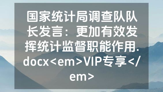国家统计局调查队队长发言：更加有效发挥统计监督职能作用.docx<em>VIP专享</em>