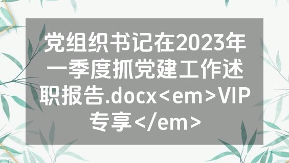 党组织书记在2023年一季度抓党建工作述职报告.docx<em>VIP专享</em>