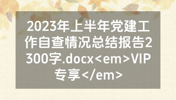 2023年上半年党建工作自查情况总结报告2300字.docx<em>VIP专享</em>