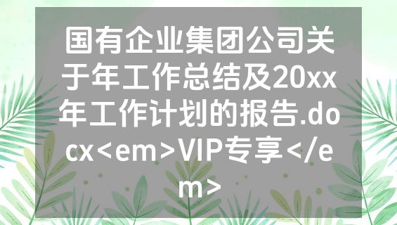 国有企业集团公司关于年工作总结及20xx年工作计划的报告.docx<em>VIP专享</em>