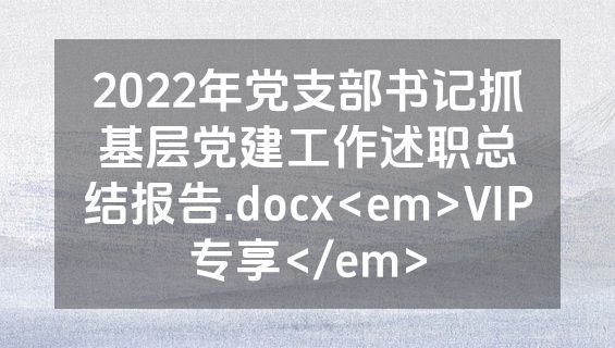 2022年党支部书记抓基层党建工作述职总结报告.docx<em>VIP专享</em>