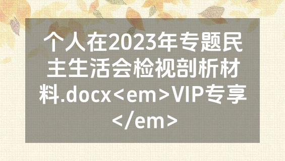 个人在2023年专题民主生活会检视剖析材料.docx<em>VIP专享</em>