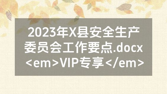 2023年X县安全生产委员会工作要点.docx<em>VIP专享</em>