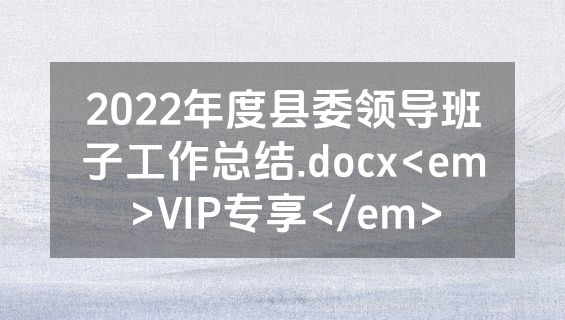 2022年度县委领导班子工作总结.docx<em>VIP专享</em>