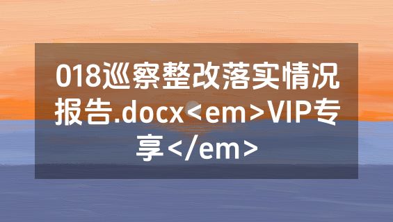 018巡察整改落实情况报告.docx<em>VIP专享</em>