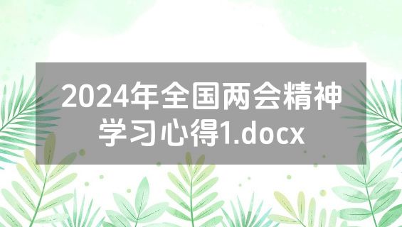 2024年全国两会精神学习心得1.docx