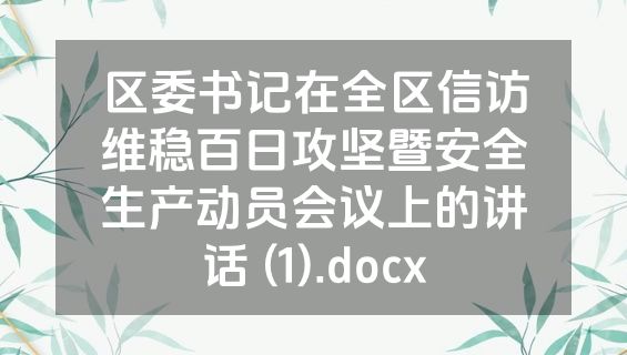 区委书记在全区信访维稳百日攻坚暨安全生产动员会议上的讲话 (1).docx