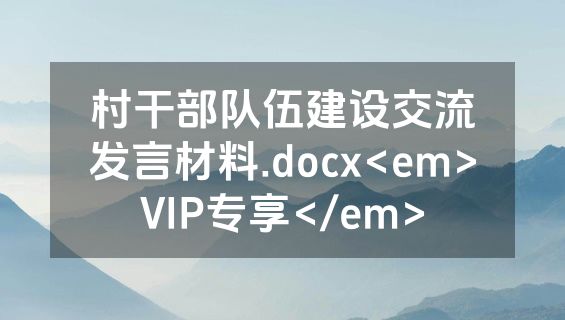 村干部队伍建设交流发言材料.docx<em>VIP专享</em>