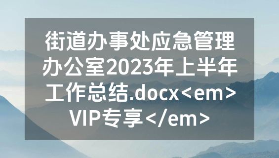街道办事处应急管理办公室2023年上半年工作总结.docx<em>VIP专享</em>