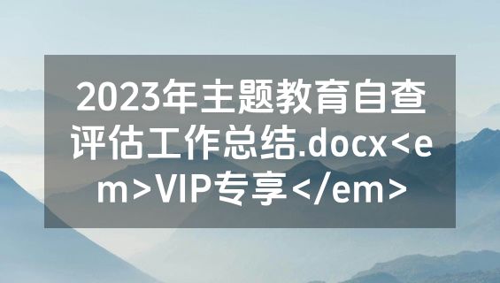 2023年主题教育自查评估工作总结.docx<em>VIP专享</em>